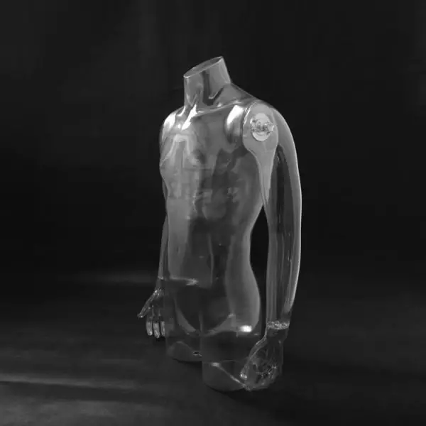 Torso masculino
