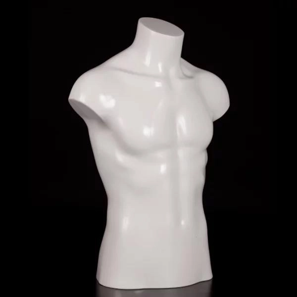 Modelo masculino de meio comprimento Modelo masculino de meio comprimento