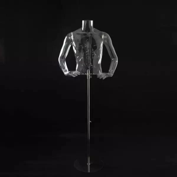 Modelo masculino de meio corpo (estrutura de suporte) Modelo masculino de meio corpo (estrutura de suporte)